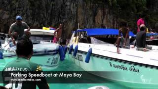 Speed Boat Parking at Maya Bay screenshot 5