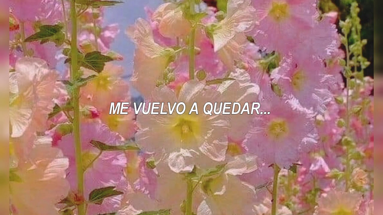Gustavo Cerati;A Merced [Letra] - YouTube