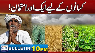 10pm News Bulletin l 31 Oct 2025 l Rohi