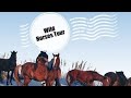 Outer Banks wild horses - (Corolla, NC Tour)