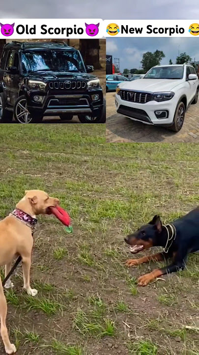 Old scorpio 😈vs new scorpio 😂 | #shorts #ytshorts #scorpio #mahindra #viralvideo #viralshorts