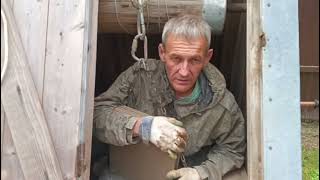 : . .        . podkapaev.ru