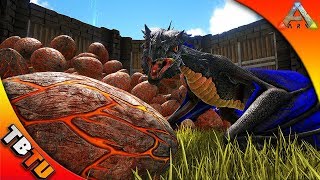 FIRE WYVERN BREEDING AND MUTATIONS! ARK WYVERN COLOR MUTATIONS! Ark Survival Evolved