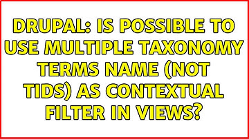Drupal: Is possible to use multiple taxonomy terms name (not tids) as contextual filter in Views?