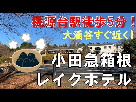 【ホテル】小田急箱根レイクホテル  桃源台駅徒歩5分 大涌谷へもアクセス良好！