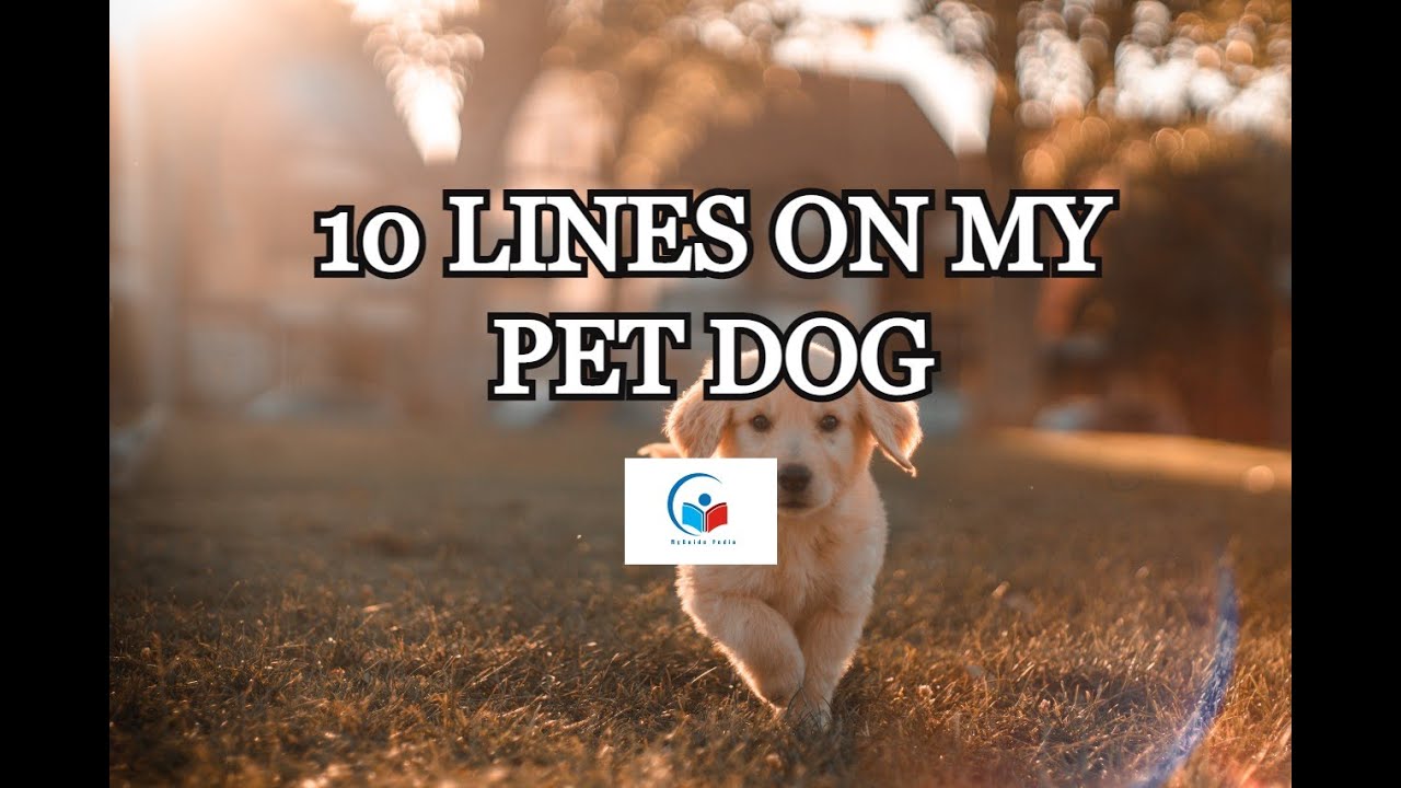 10 LINES ON MY PET DOG - LEARN WITH FUN