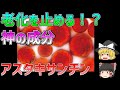 【ゆっくり解説】老化を止め生命力を向上させる！？神の成分「アスタキサンチン」