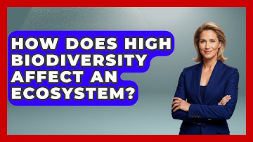 How Does High Biodiversity Affect An Ecosystem? - Ecosystem Essentials