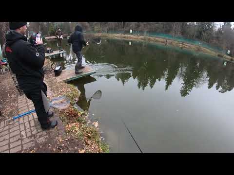 Голицыно Fish 4