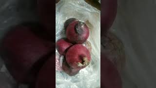 #onions #shorts #rubygaray #asmr #dragonsasori