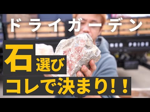石だらけの庭で地中海ハーブを放置する10年目のコツ
