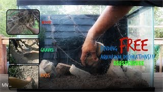 Finding FREE Aquarium Décor