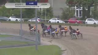 Vidéo de la course PMU HANDELSONDERNEMING LOUTER PRIJS