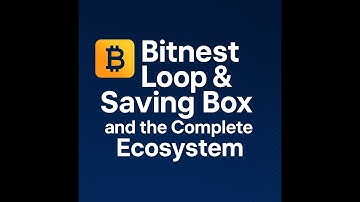 Bitnest Loop & Saving Box and the Complete Ecosystem