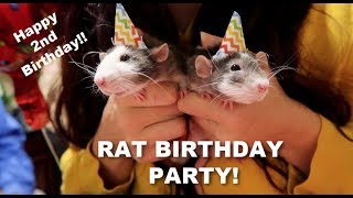 BIRTHDAY PARTY FOR MY RATS! | w/ Tyler, Pickles, Emilee, Tori, & Emma! by Maddie Smith 7,130 views 5 years ago 10 minutes, 2 seconds