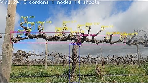 How to manage variability on your vineyard with agritech