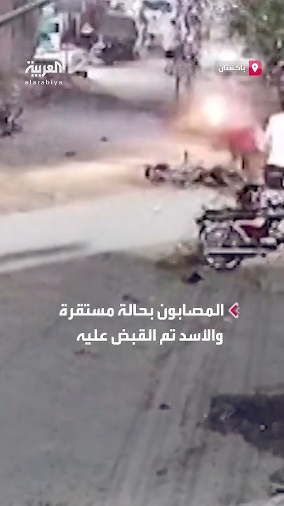           
 - نشر قبل 6 دقيقة