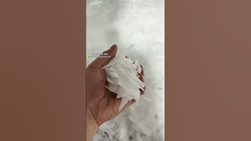 5T flake ice machine for fish