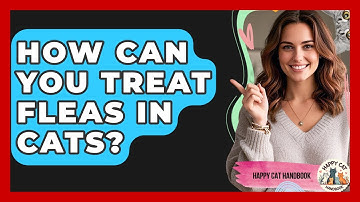 How Can You Treat Fleas in Cats? | Happy Cat Handbook