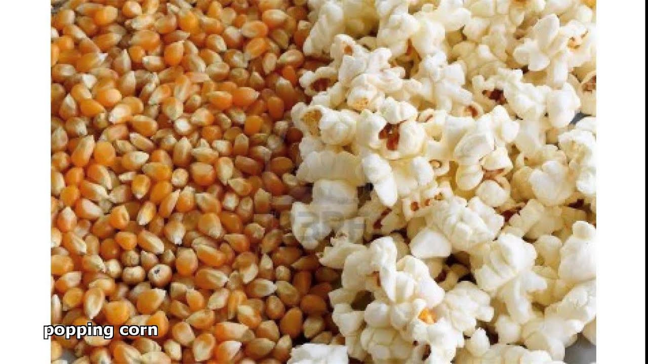 Popping Corn YouTube popping-corn-youtube