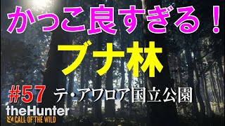 洞窟さんぽ、ブナ林さんぽ、七面鳥に逃げられる。【theHunter: Call of the Wild】＃57 screenshot 1