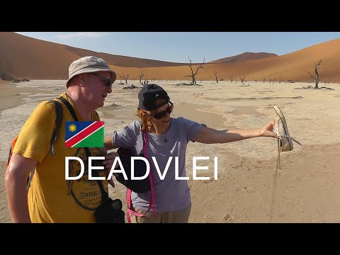 Video: 31 Surreale Bilder Von Dead Vlei, Namibias Bildschöner Wüste