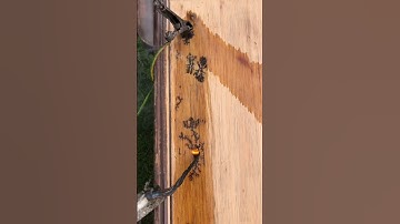 #lichtenberg #fractalpatterns #subscribe