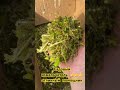 Садовый измельчитель,отличный помощник 👍👍👍