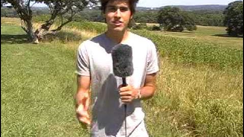 Sequence 1 mtv vj MPEG 4 800Kbps Streaming