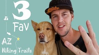 Top 3 Best Dog Friendly Hiking Trails in Arizona