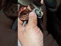 smooth small pieces of wood well and neatly #youtubeshorts #trending