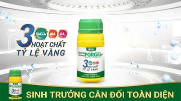 HỢP TRÍ ORGANO FORGE – 3 HOẠT CHẤT TỶ LỆ VÀNG – SINH TRƯỞNG CÂN ĐỐI, TOÀN DIỆN | HỢP TRÍ SUMMIT