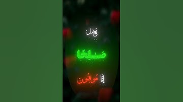 🌿 ربنا أبصرنا وسمعنا... تلاوة تهز القلوب