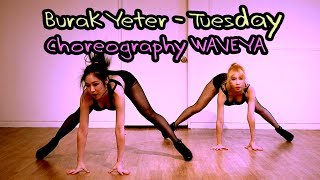 Burak Yeter Tuesday Choreography WAVEYA 창작안무