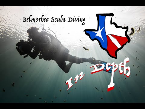 At Depth in Balmorhea State Park. Biting Fish!