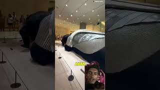 SurprisedSecret Dog in the Mall!  Everyone is#shortvideo #facts #viralvideo