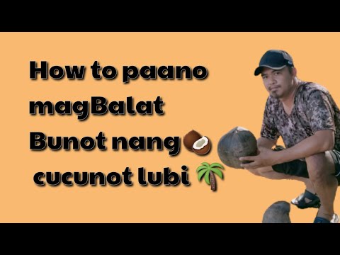Video: Paano Basagin Ang Isang Niyog