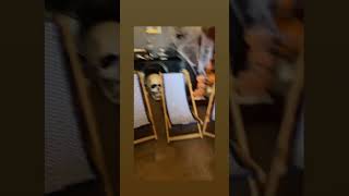 Excuse My Voice Lol Burberry Lounge Chairs For Our Pool  thegroomsfamily marriage burberry