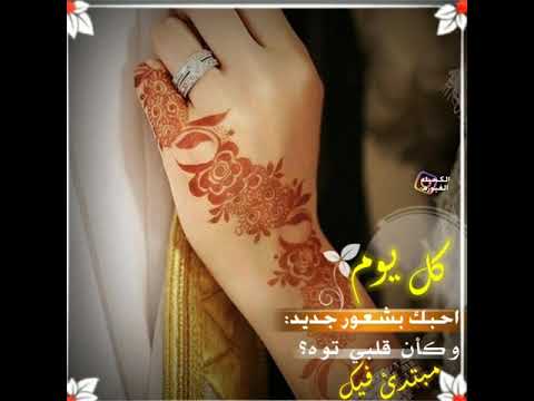 شيلة اغلى بشر حالات واتس اب غريب المخلص ستوريات انستا مقاطع قصيره شيلات حب 