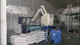 china brand smart robot palletizer