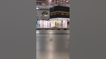 تلاوة من سورة الأحزاب اية ٤٥-٤٨ للشيخ د. ياسر الدوسري