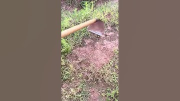 cleaning weeds on the ground using a hoe #shorts