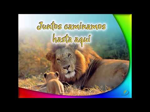 Juntos - Promoción Escuela Sabática (Pista)