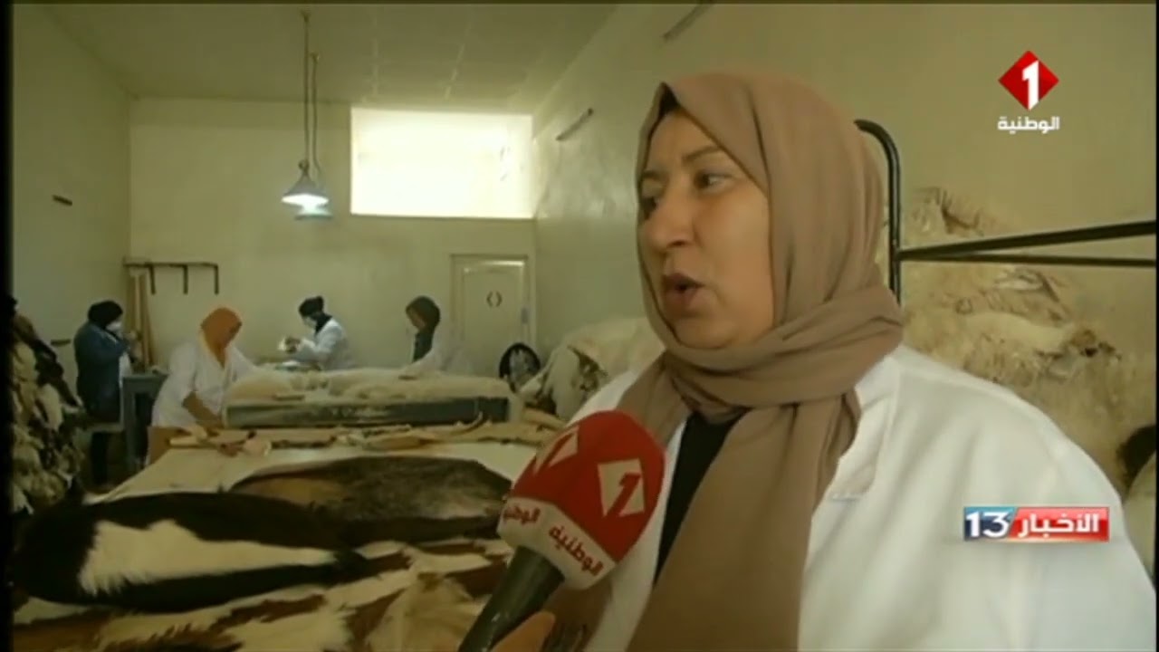 باجة : ملمح لحرفي في صناعة الجلد بقبلاط