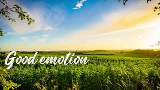 Relaxing Music | Soothing | Calm | Meditation | Peaceful | Sleeping | Therapy | Relax Your Mind screenshot 4