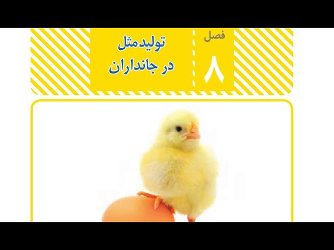 تصویری: گامت های خزه چگونه پاسخ کام تولید می شوند؟