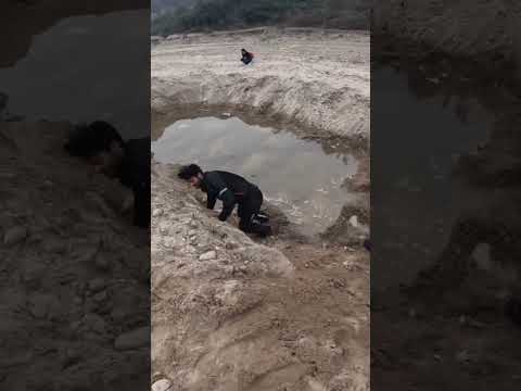 Trand short video jannu stuntz ‎@Motovloggerjannustunts  #shorts #trending #jannustuntz #shorts