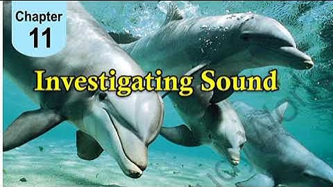 Grade 6 Chap11 investigation of sound