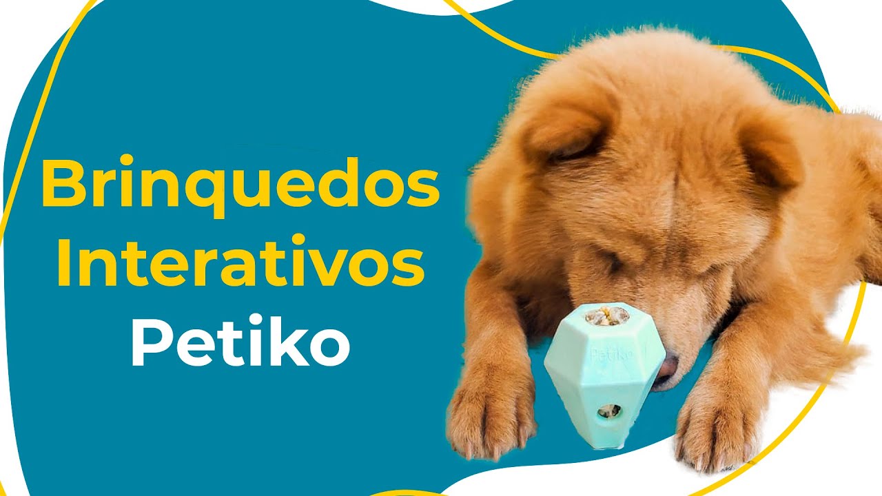 BRINQUEDOS INTERATIVOS PETIKO: COMO INCENTIVAR A DIVERSÃO COM SEU CACHORRO