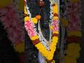 Darshan Karo Shree Dev Ravalnath Mandir Walaval Kudal | Take Blessings Of Shree Dev Ravalnath #viral